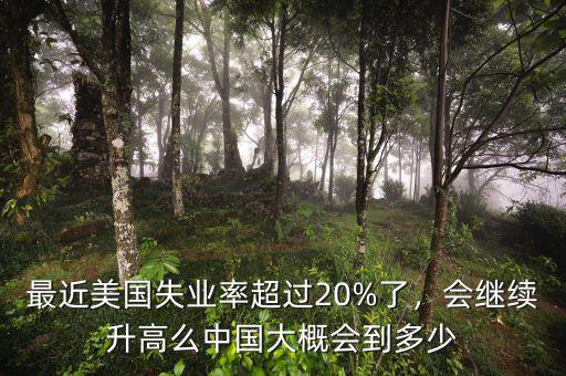 最近美國失業(yè)率超過20%了，會繼續(xù)升高么中國大概會到多少