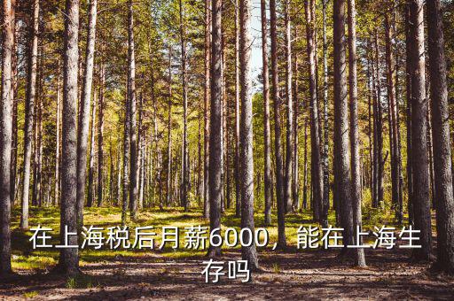 在上海稅后月薪6000，能在上海生存嗎