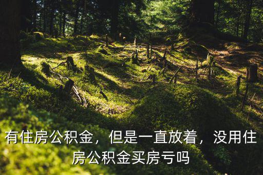 有住房公積金，但是一直放著，沒用住房公積金買房虧嗎