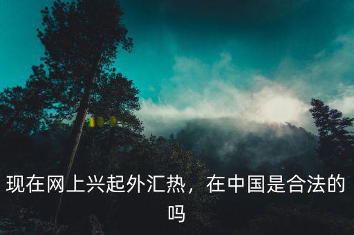 現(xiàn)在網(wǎng)上興起外匯熱，在中國是合法的嗎