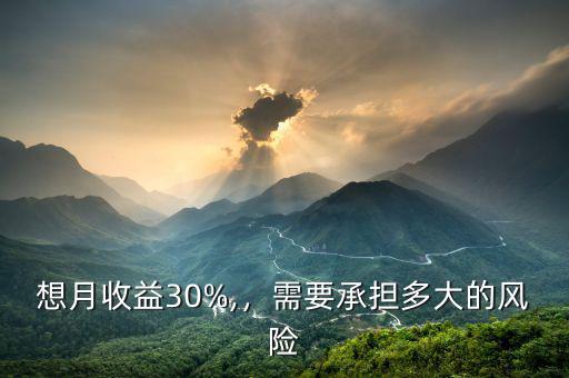 想月收益30%,，需要承擔多大的風險