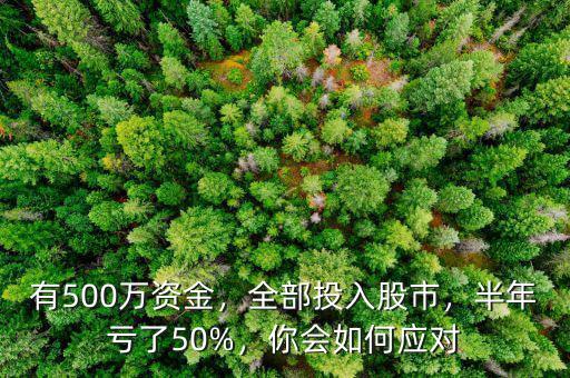 有500萬資金，全部投入股市，半年虧了50%，你會如何應對