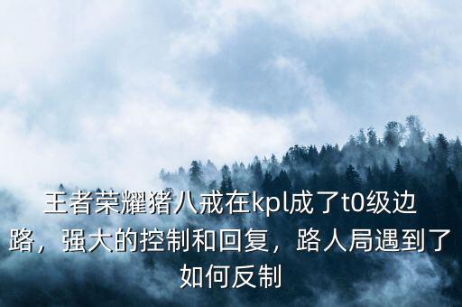 王者榮耀豬八戒在kpl成了t0級(jí)邊路，強(qiáng)大的控制和回復(fù)，路人局遇到了如何反制