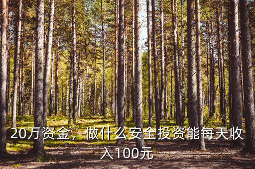 20萬資金，做什么安全投資能每天收入100元