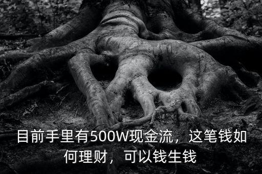 目前手里有500W現(xiàn)金流，這筆錢如何理財，可以錢生錢