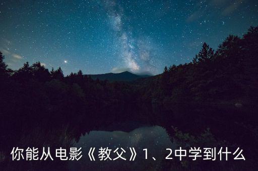 你能從電影《教父》1、2中學(xué)到什么