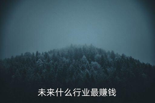 未來(lái)什么行業(yè)最賺錢