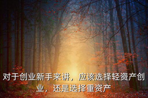 對(duì)于創(chuàng)業(yè)新手來(lái)講，應(yīng)該選擇輕資產(chǎn)創(chuàng)業(yè)，還是選擇重資產(chǎn)