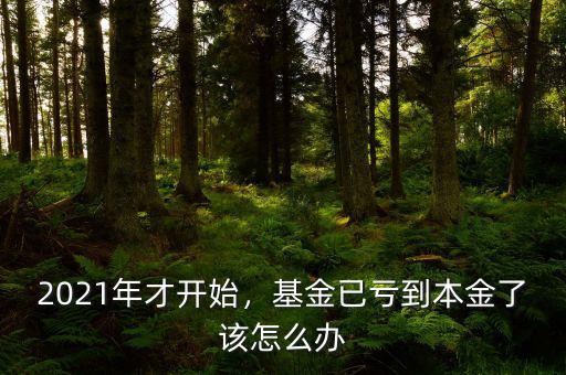 2021年才開始，基金已虧到本金了該怎么辦