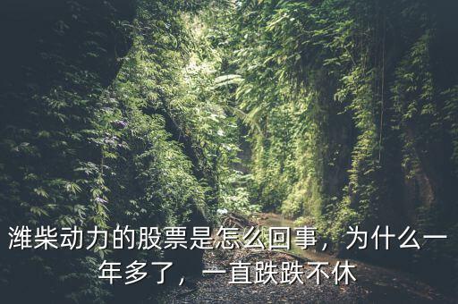 濰柴動(dòng)力的股票是怎么回事，為什么一年多了，一直跌跌不休