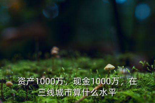 資產1000萬，現(xiàn)金1000萬，在三線城市算什么水平