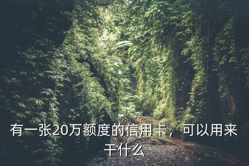 信用卡是干什么的,可以用來干什么