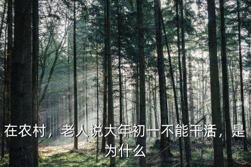 在農(nóng)村，老人說大年初一不能干活，是為什么