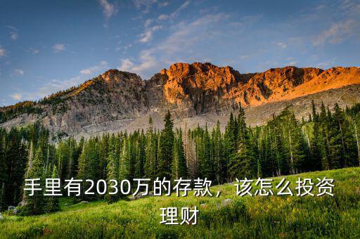 手里有2030萬的存款，該怎么投資理財