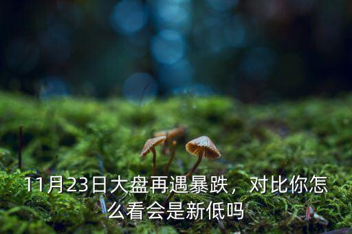 11月23日大盤再遇暴跌，對比你怎么看會(huì)是新低嗎