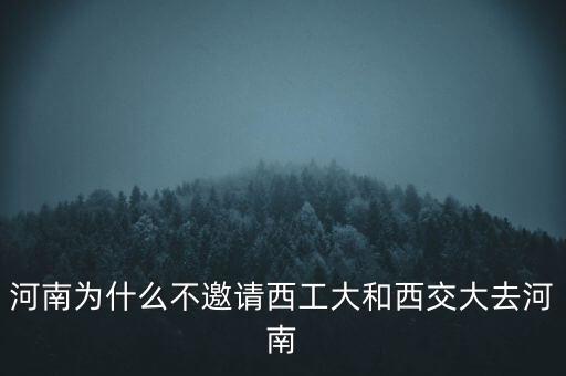 河南森源集團(tuán)怎么樣,售后服務(wù)怎么樣