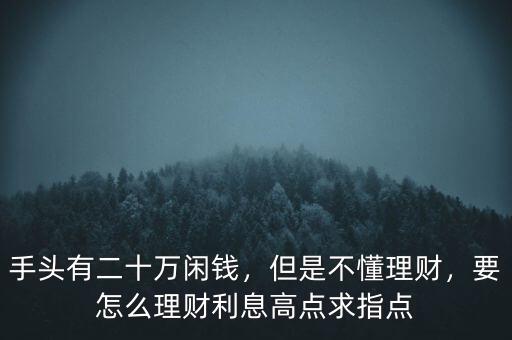 手頭有二十萬(wàn)閑錢，但是不懂理財(cái)，要怎么理財(cái)利息高點(diǎn)求指點(diǎn)