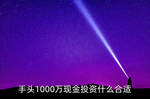 手頭1000萬(wàn)現(xiàn)金投資什么合適