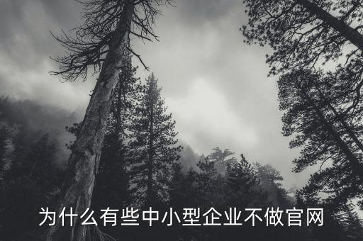 為什么有些中小型企業(yè)不做官網