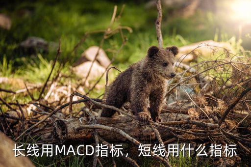 MACD配會(huì)什么指標(biāo),長(zhǎng)線用MACD指標(biāo)