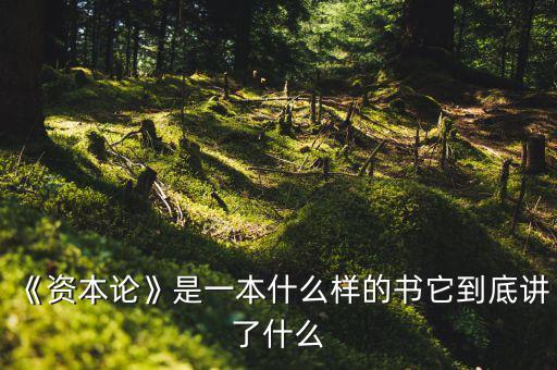 《資本論》是一本什么樣的書它到底講了什么