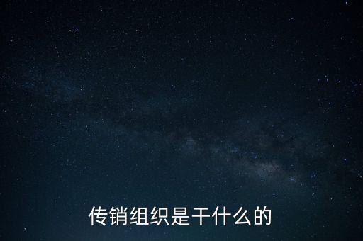 傳銷組織是干什么的