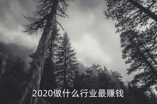 2020做什么行業(yè)最賺錢(qián)