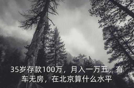 35歲存款100萬，月入一萬五，有車無房，在北京算什么水平