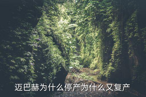 邁巴赫為什么停產(chǎn)為什么又復(fù)產(chǎn)