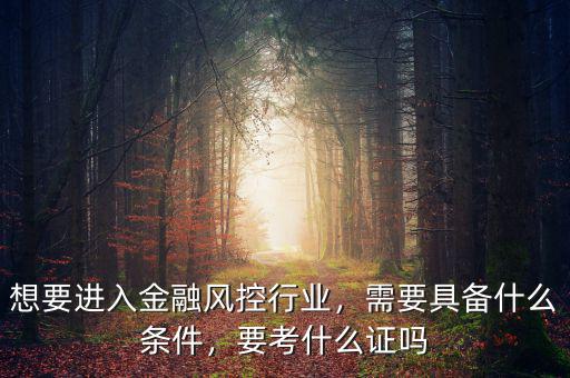 風控需要什么證書,需要具備什么條件