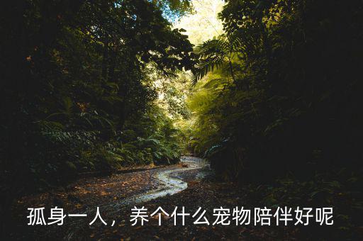 孤身一人，養(yǎng)個(gè)什么寵物陪伴好呢