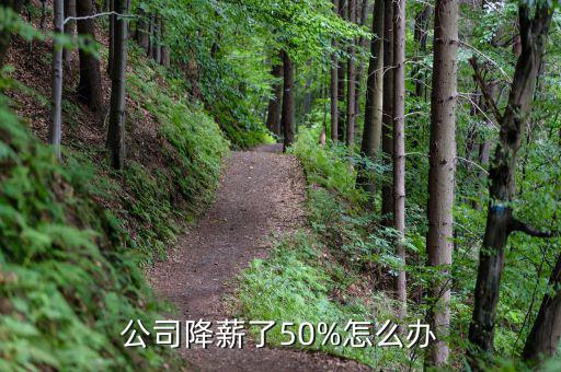 公司降薪了50%怎么辦