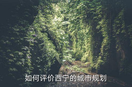 西寧城投怎么樣,青海西寧市怎么樣