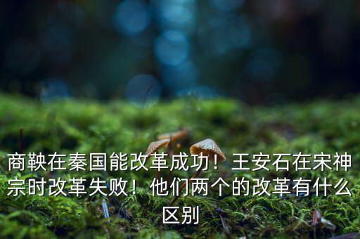 有什么比較成功的改革,他們兩個(gè)的改革有什么區(qū)別