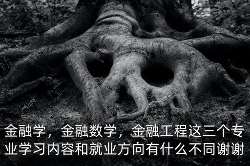 金融學(xué)，金融數(shù)學(xué)，金融工程這三個專業(yè)學(xué)習(xí)內(nèi)容和就業(yè)方向有什么不同謝謝