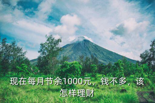 現(xiàn)在每月節(jié)余1000元，錢(qián)不多，該怎樣理財(cái)