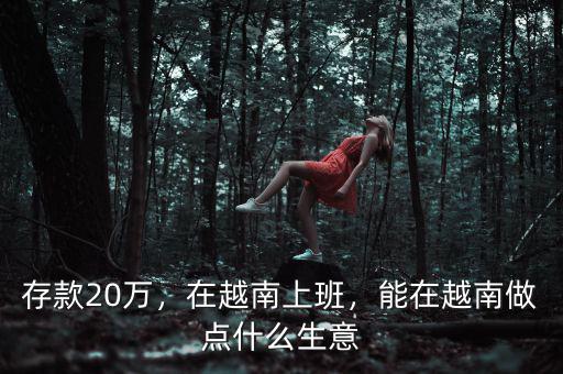 存款20萬，在越南上班，能在越南做點什么生意