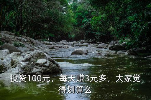 投資100元，每天賺3元多，大家覺得劃算么