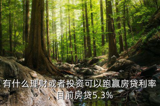 有什么理財或者投資可以跑贏房貸利率，目前房貸5.3%