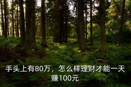 手頭上有80萬，怎么樣理財(cái)才能一天賺100元