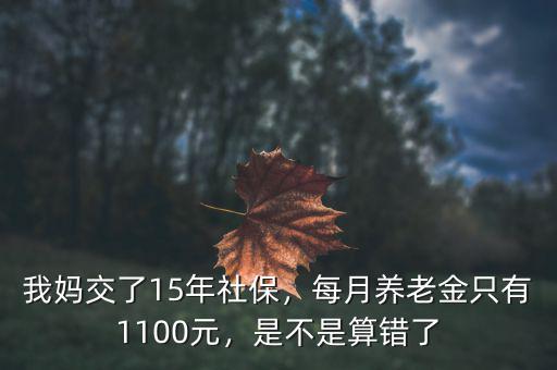 我媽交了15年社保，每月養(yǎng)老金只有1100元，是不是算錯(cuò)了