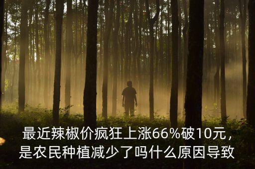 最近辣椒價(jià)瘋狂上漲66%破10元，是農(nóng)民種植減少了嗎什么原因?qū)е? class=