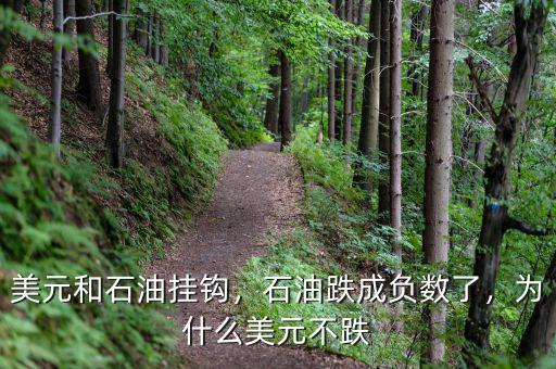 美元和石油掛鉤，石油跌成負(fù)數(shù)了，為什么美元不跌