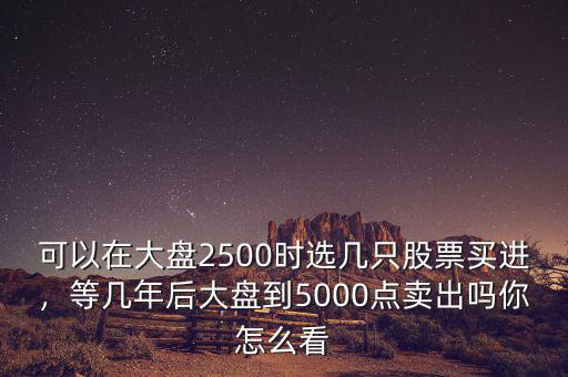 可以在大盤2500時選幾只股票買進(jìn)，等幾年后大盤到5000點賣出嗎你怎么看