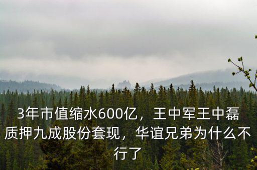 3年市值縮水600億，王中軍王中磊質(zhì)押九成股份套現(xiàn)，華誼兄弟為什么不行了