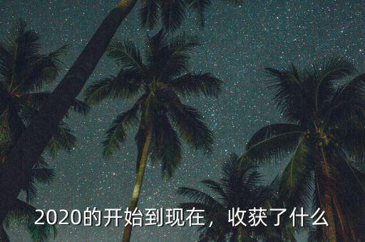 2020的開始到現(xiàn)在，收獲了什么