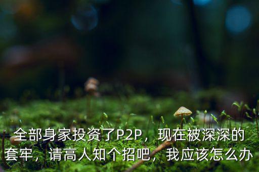 全部身家投資了P2P，現(xiàn)在被深深的套牢，請高人知個招吧，我應(yīng)該怎么辦