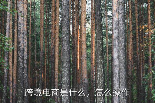跨境電商是什么，怎么操作