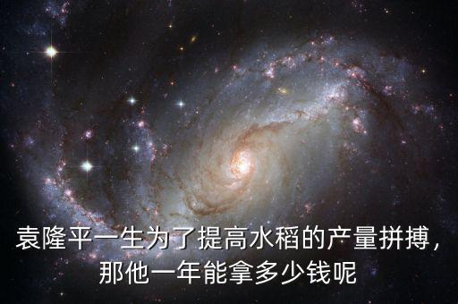 袁隆平一生為了提高水稻的產(chǎn)量拼搏，那他一年能拿多少錢呢