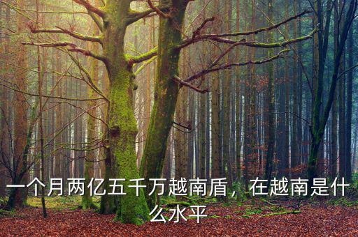 一個(gè)月兩億五千萬(wàn)越南盾，在越南是什么水平